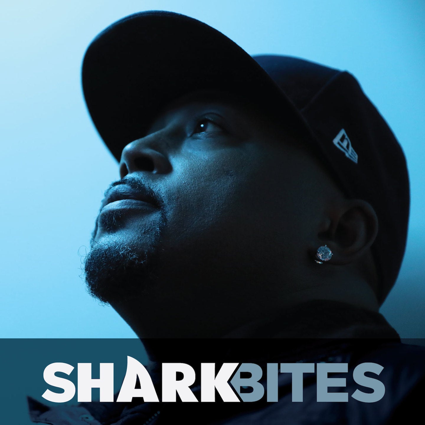 Shark Bites Introduction